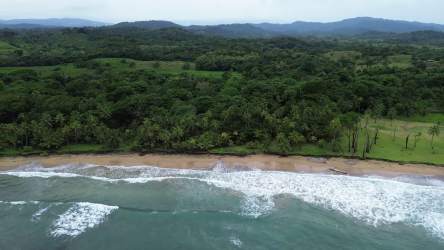 4 Hectares Beachfront Caribbean Land Palenque Colón in Colón City - View 3