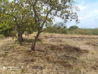 Spacious dry land plot with mature trees in Rio Mar beachside area San Carlos Panama