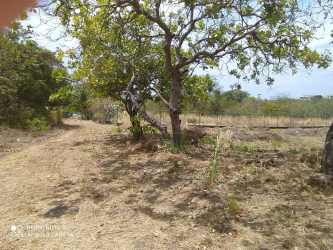 Entrance access dirt road and trees inside Rio Mar residential community Panama