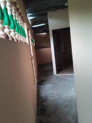 Simple tiled bathroom with shower enclosure glass door Burunga Panama