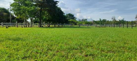 Wide grassy open pasture with fence and trees ideal for building getaway Panama