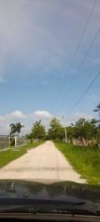 Curved asphalt road lined by greenery under blue skies leading towards countryside beach area Panama