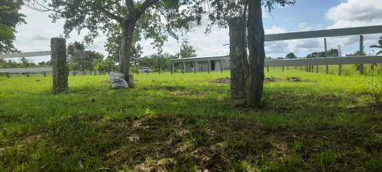 Fenced grassy countryside lot with trees under partly cloudy blue sky near beaches