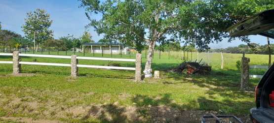 Grassy fence pasture field with trees and dirt driveway countryside Rio Hato Panama