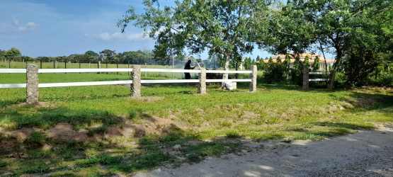 Level lot with wooden rural fence grassy field trees under blue sky near Santa Clara beaches Panama
