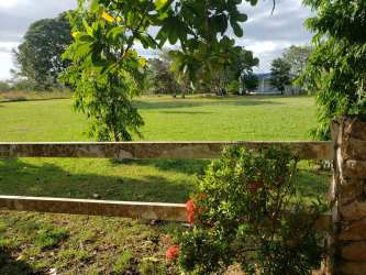 Green yard with shade trees and rustic fence ideal for relaxing nature living or farming
