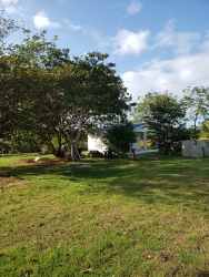 Flat 2742m2 lot with fruit trees and open green space perfect for farming or home building