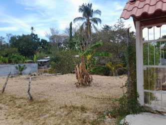Cleared yard area with banana tree, wall, and iron gate in El Arenal subdivision