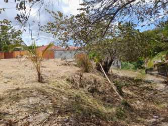 Partially cleared vacant lot with red fence, trees and cloudy blue sky in San Carlos
