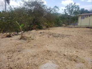 Land for Sale in El Arenal - 0 bedrooms