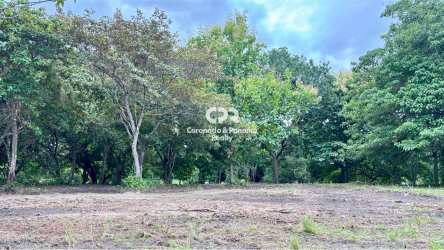 Cleared plot with wooded perimeter at Coronado Golf Club Panama