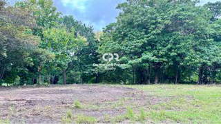 Vacant Land for Sale in Chame - 0 bedrooms