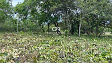 Golf course residential land corner cleared wooded lot in Coronado Panama