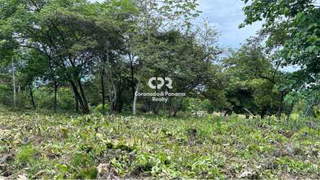 Land for Sale in Chame - 0 bedrooms