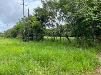 Open grassy field surrounded by trees Caldera Boquete Panama land for sale