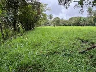 Grassy field bordered by tropical vegetation Caldera Boquete Chiriqui Panama