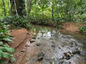 Running creek on wooded land with rocks and greenery Caldera Boquete Panama