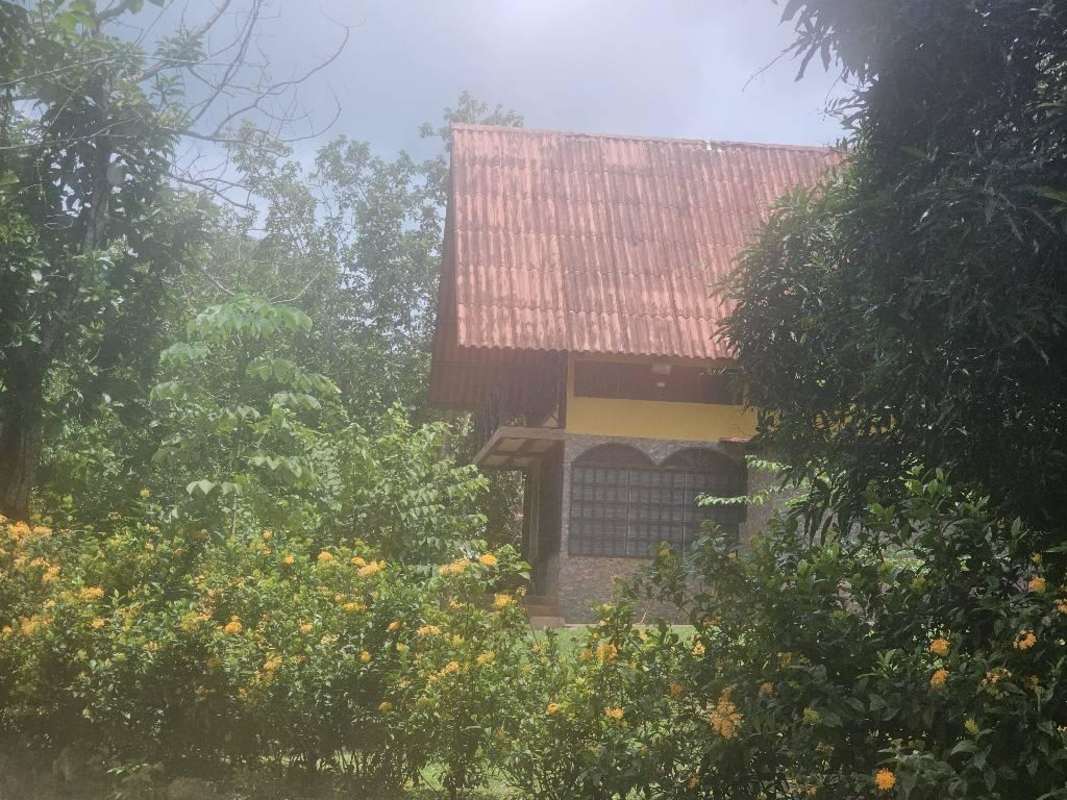 Rustic guest house with porch surrounded by greenery at Chepo farm Panama