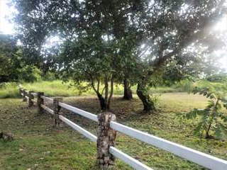 Land for Sale in El Retiro - 0 bedrooms