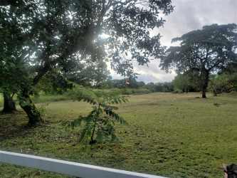 Flat rural lot with native fruit trees and fence ready for development in Llano Grande