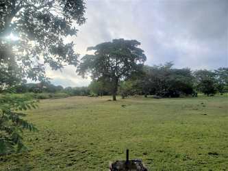 Open countryside land parcel with fencing and trees near Santa Clara beaches