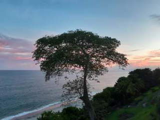 Land for Sale in El Chirú - 0 bedrooms