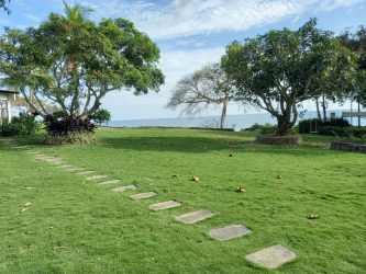 Vacant sandy beachfront lot with lush palm vegetation in Bijao Playa Solymar Panama