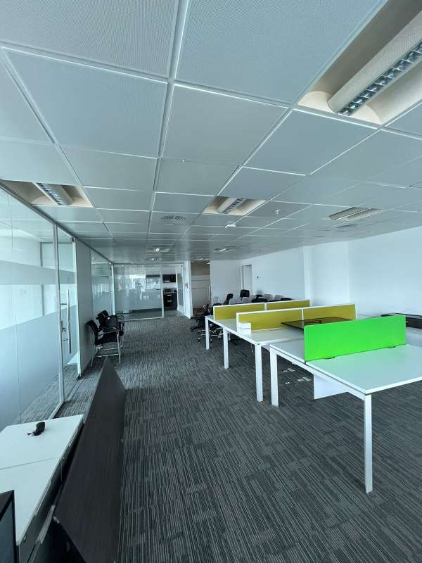 Open modular office cubicles carpet floor glass partition Oceania Tower Punta Pacifica Panama