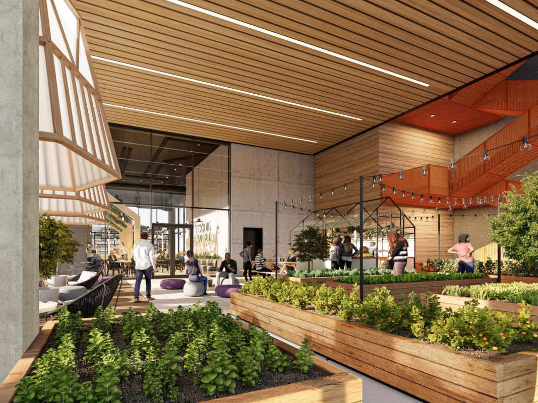 Eco-friendly indoor communal garden lounge with wood ceiling and greenhouse Uptown Panama