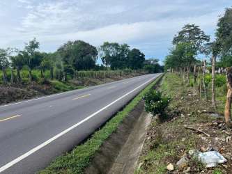 Paved road with trees and fence lines bordering agricultural property San Vicente Chiriquí