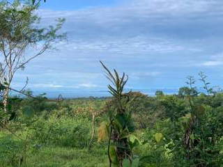 Land plot for Sale in San Vicente - 0 bedrooms