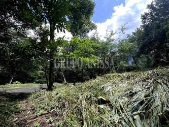 Natural green forest lot with mature trees and clearings in Toscana sector Altos del María Panama