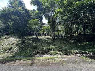 Wooded mountain lot featuring natural vegetation and trees in Toscana Altos del María
