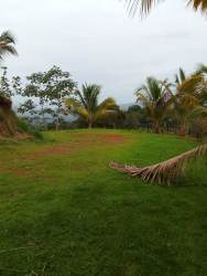 Open green land with partially constructed metal cabin in Panama countryside