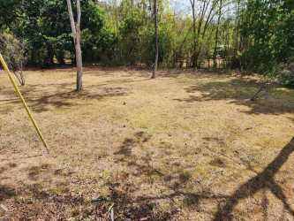 Open dry grassy yard with scattered trees in El Pajonal River development Coclé Panama