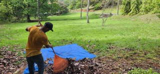 Land for Sale in El Pajonal / El Coco - 0 bedrooms