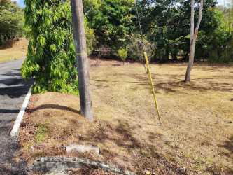 Person raking leaves in large grassy lot surrounded by trees in Pajonal River Panama
