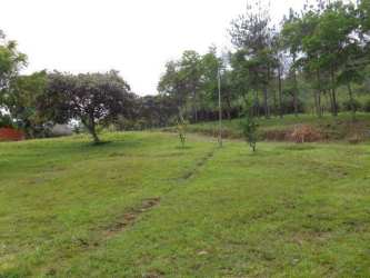 Rustic chicken coop with mesh fencing and shelter in El Pajonal Coclé Panama