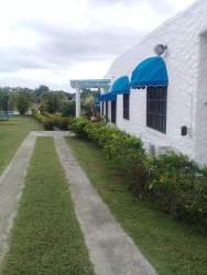 Large private swimming pool surrounded by tropical gardens and palms Las Lajas near Coronado