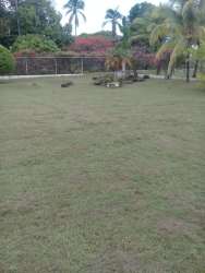 Mediterranean gazebo with outdoor patio and garden at country estate Las Lajas near Coronado