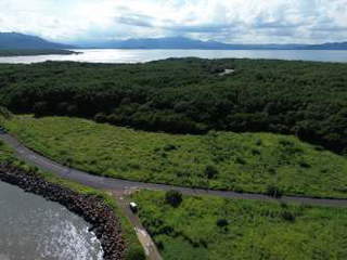 Land for Sale in Nueva Gorgona - 0 bedrooms