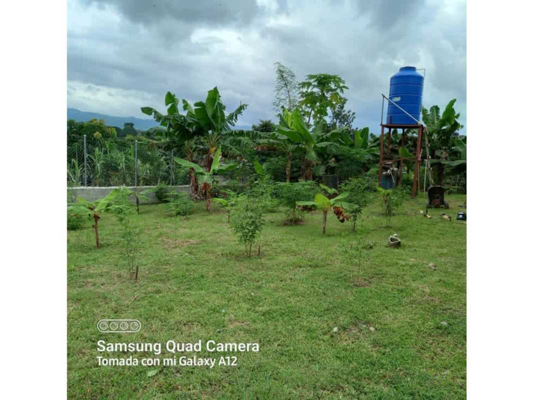 Exterior garden with banana plants and elevated water tank Chepo large lot property Hola Realty