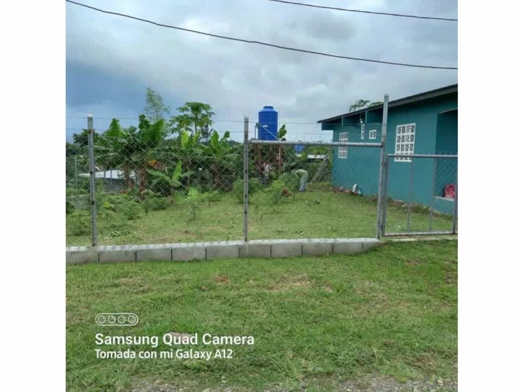 Rustic fenced yard with banana plants and big lot Chepo Panama affordable house Hola Realty