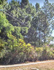 Land for Sale in Volcancito - 0 bedrooms