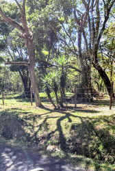 Concrete wall with green trees lining the road edge in Volcancito Boquete land for sale