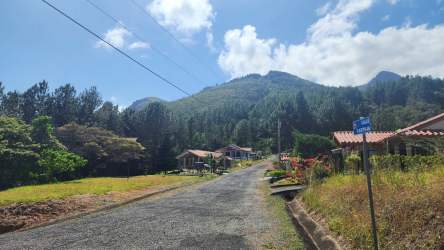 Forest trail winding through lush greenery Altos del María Panama