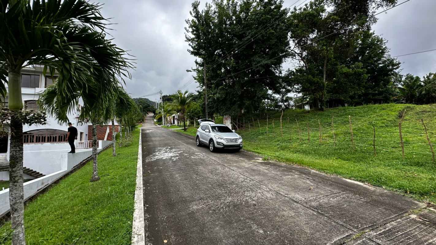 Paved street in residential area with greenery and potential house sites in Las Cumbres Panama