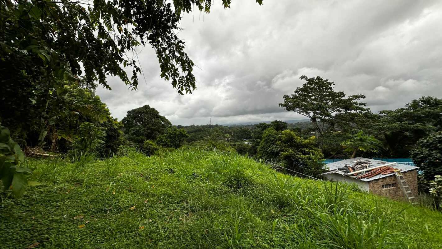 Elevated vacant lot surrounded by nature ideal for housing project in Panama
