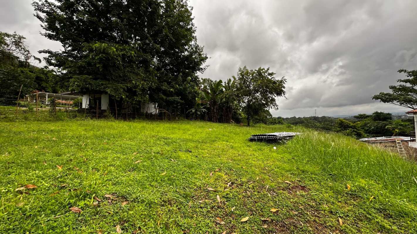 Green countryside plot bordered by trees perfect for custom house in Las Cumbres Panama
