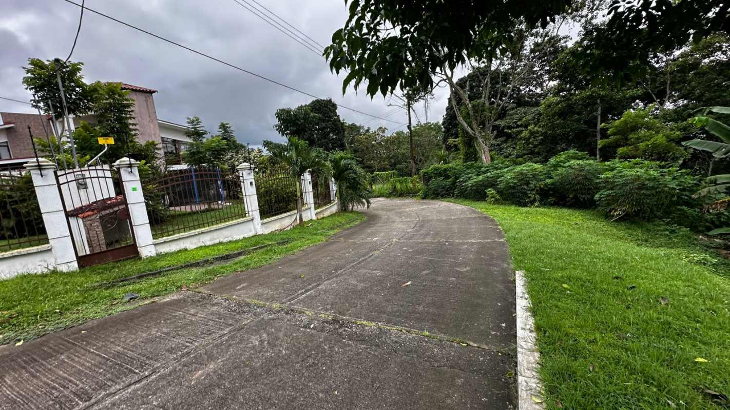 Grassy open lot with natural shade perfect for residential development in Panama City